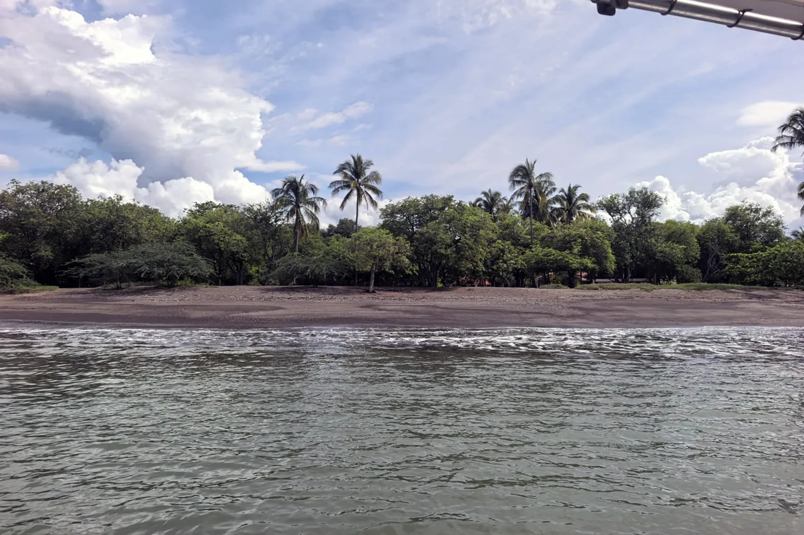 Palm trees behind a quiet beach along the Papagayo coast