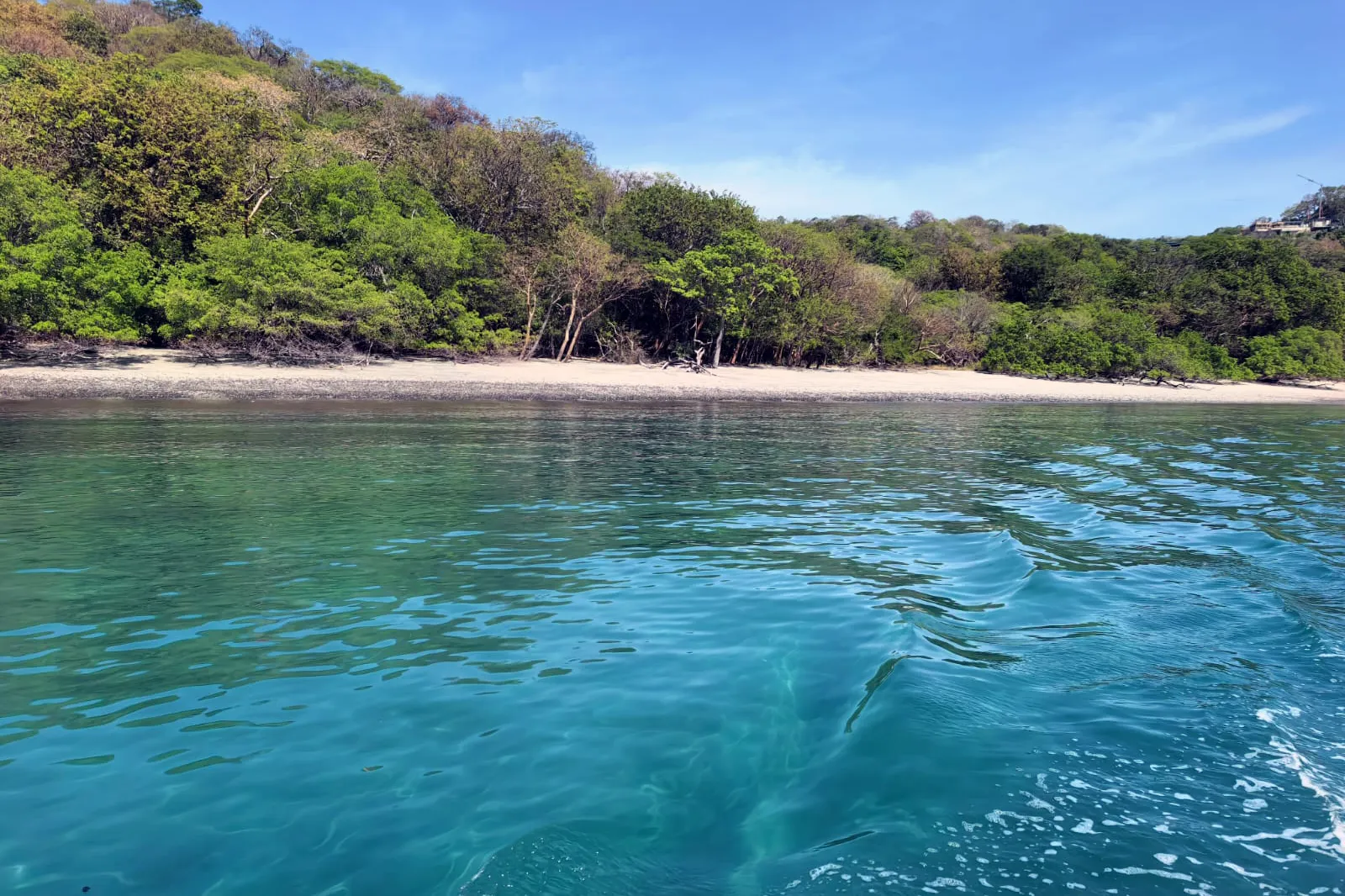 Clear ocean conditions during a private MarSea Tours trip in the Gulf of Papagayo