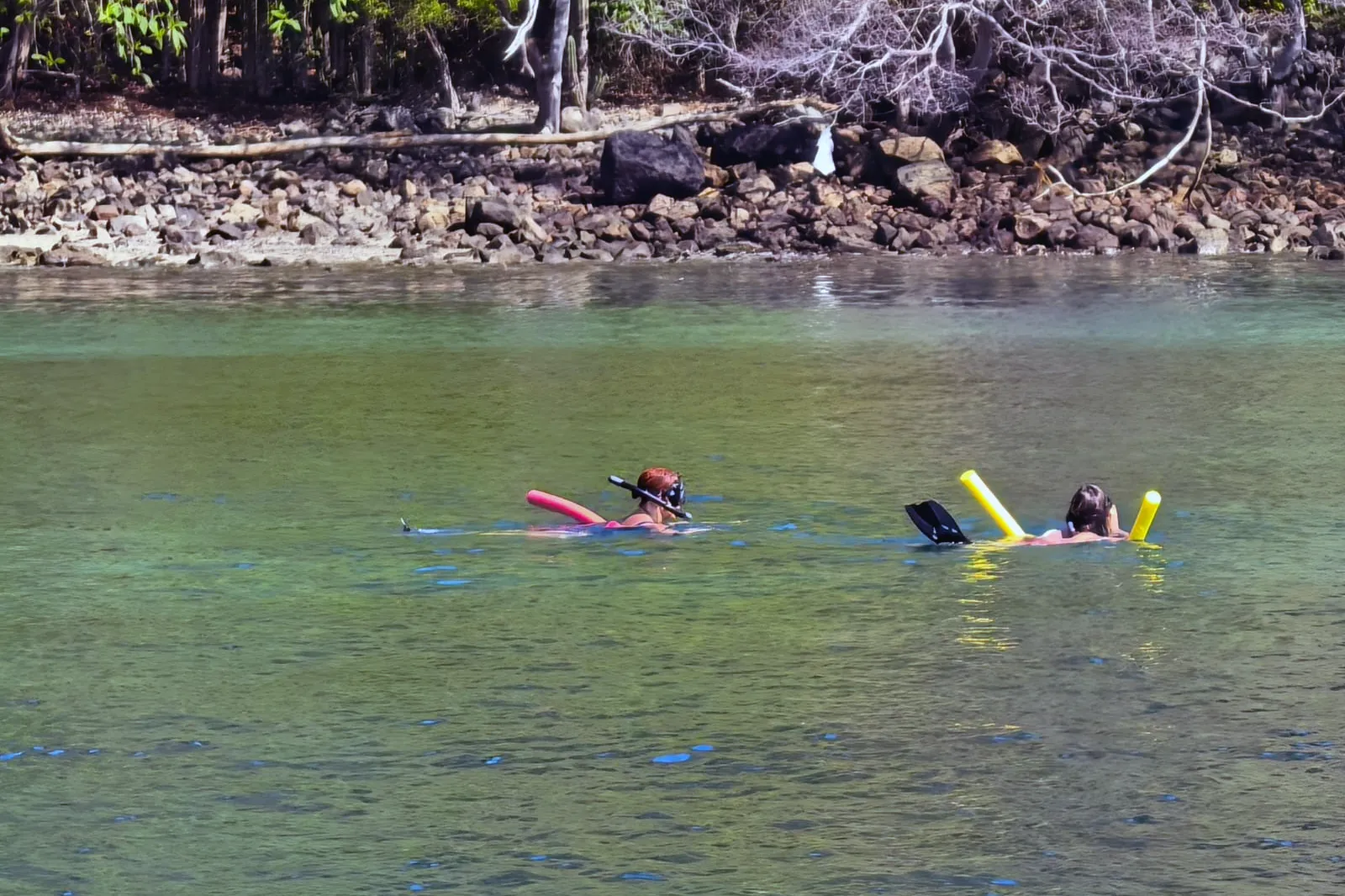 Beginner snorkeling at Playa Jícaro during a MarSea Tours trip in the Gulf of Papagayo